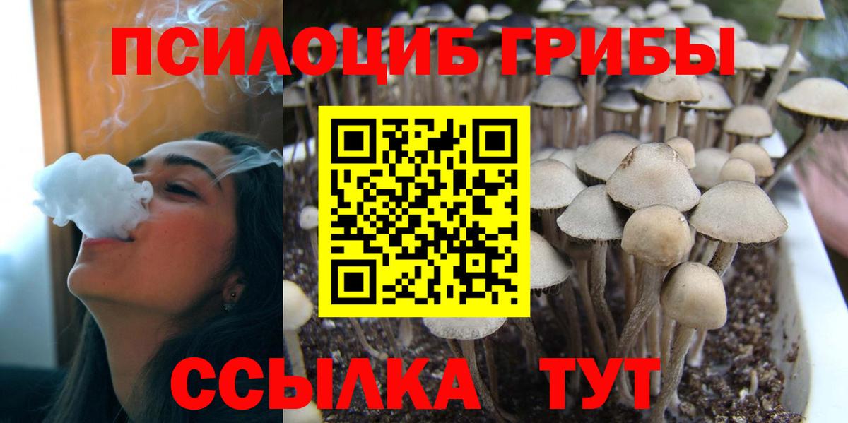 Псилоцибиновые грибы мухоморы  Псилоцибиновые грибы MAGIC MUSHROOMS  Елабуга  Вход с VPN 